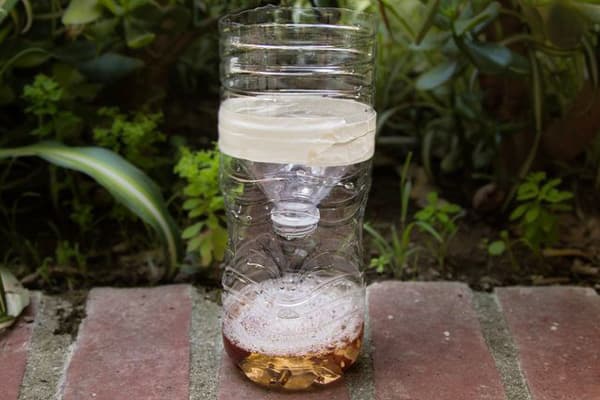 Homemade Fly Trap In 3 Super Easy Steps!