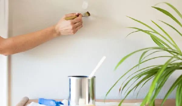 Best Ways to Touch Up Paint