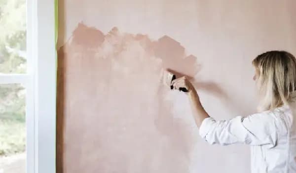 House Wall Paint Care