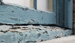 Lead Paint Inspection Cost: What Homeowners...