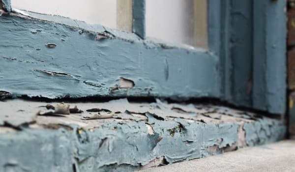 Lead Paint Inspection Cost: What Homeowners Should Know