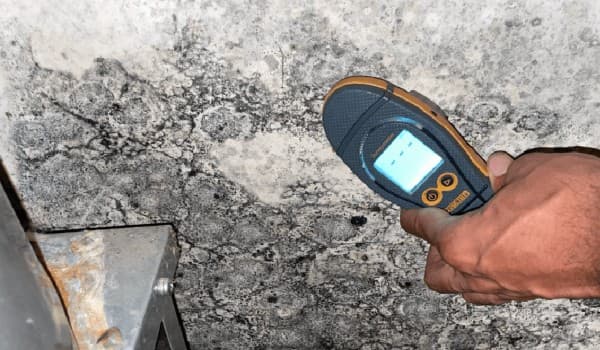 Average Mold Inspection Costs Across Canada