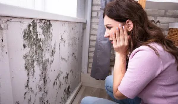 Introduction to Mold Inspection in Homes