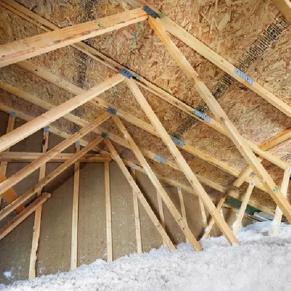 attic inspections in old house inspections