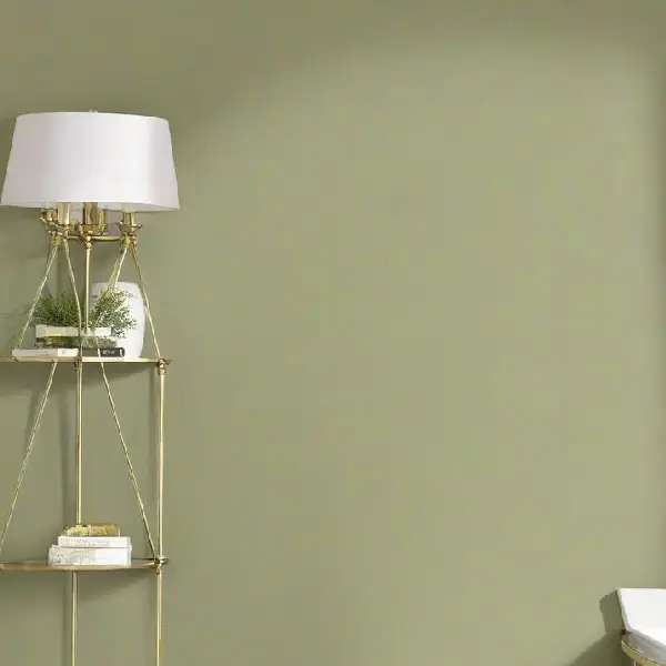 Pittsburgh Paints’ Dill small room paint ideas