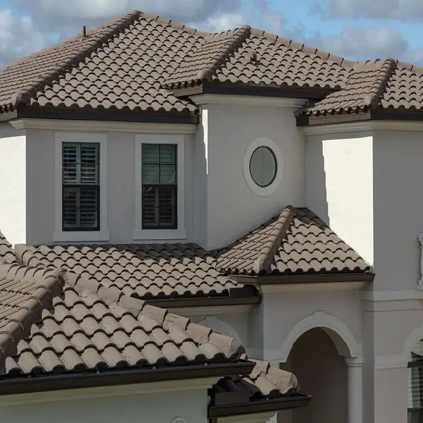 Chestnut Brown roof color