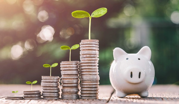 How to Save Money on Mold Inspections?