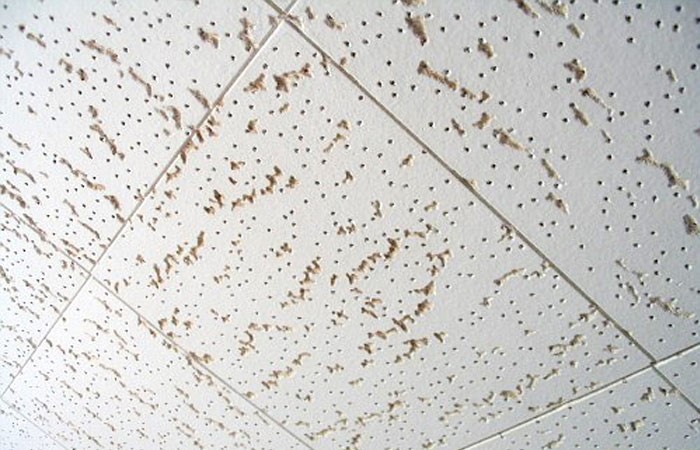 Asbestos Ceiling Tiles How To Identify, Asbestos Ceiling Tiles How To Identify