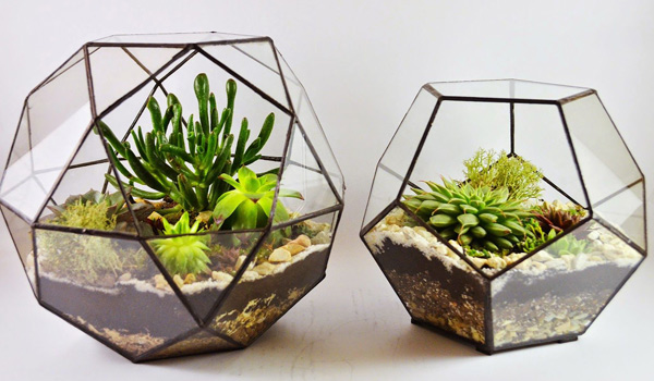 how to make a terrarium 